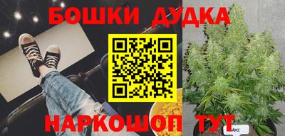 стаф Свободный