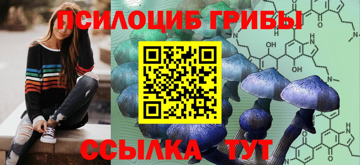 Псилоцибиновые грибы мухоморы  Галлюциногенные грибы MAGIC MUSHROOMS  Вход с VPN  Евпатория 