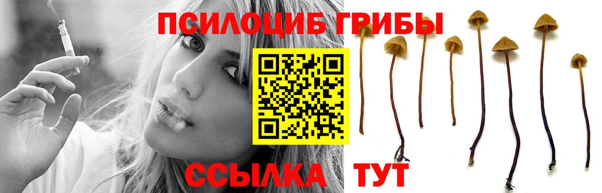 Псилоцибиновые грибы ЛСД Евпатория